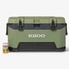 Igloo Coolers Igloo BMX 72 Qt Cooler Oil Green 00050555